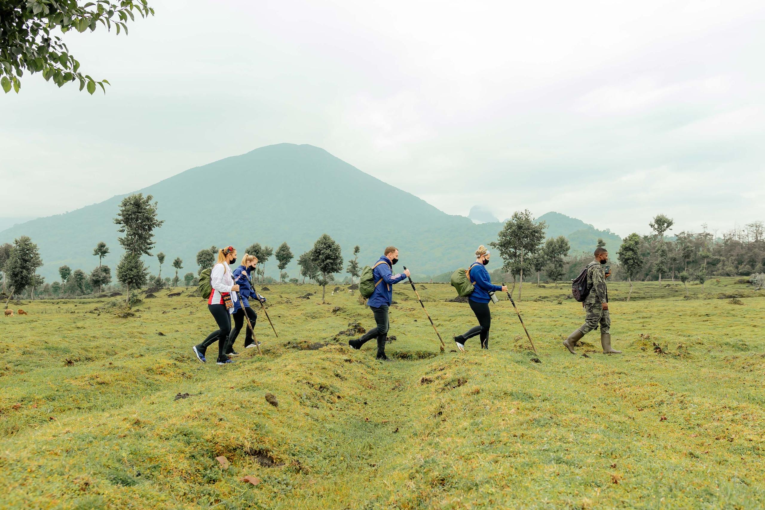 Ultimate Gorilla and Golden Monkey trekking experience